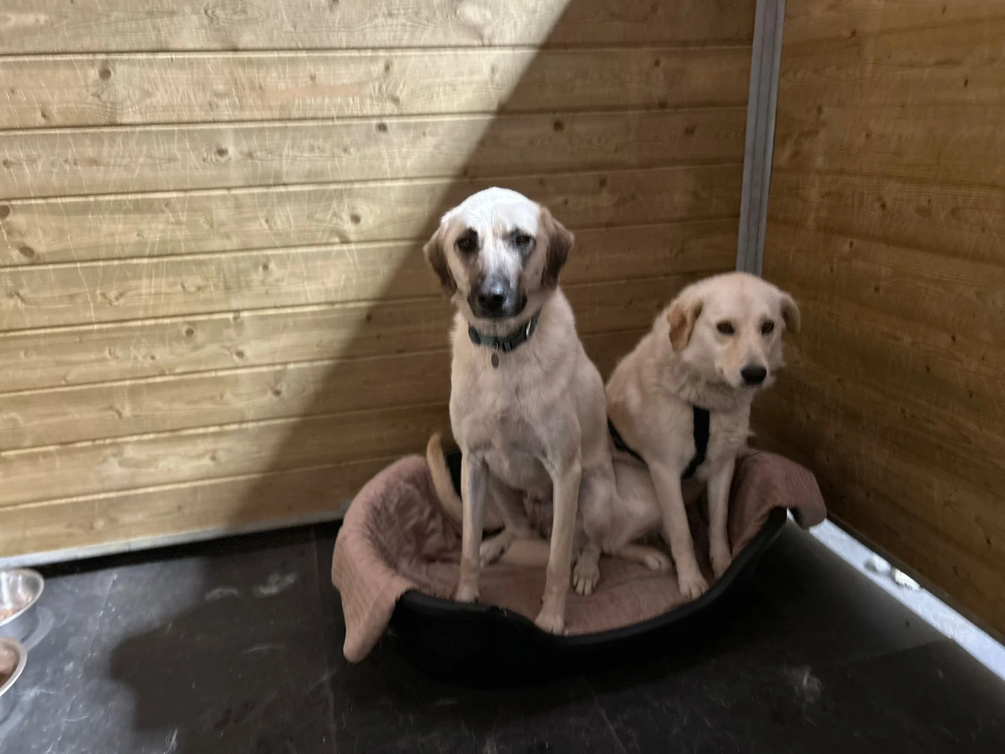 Ona (in België) - Afbeelding 3