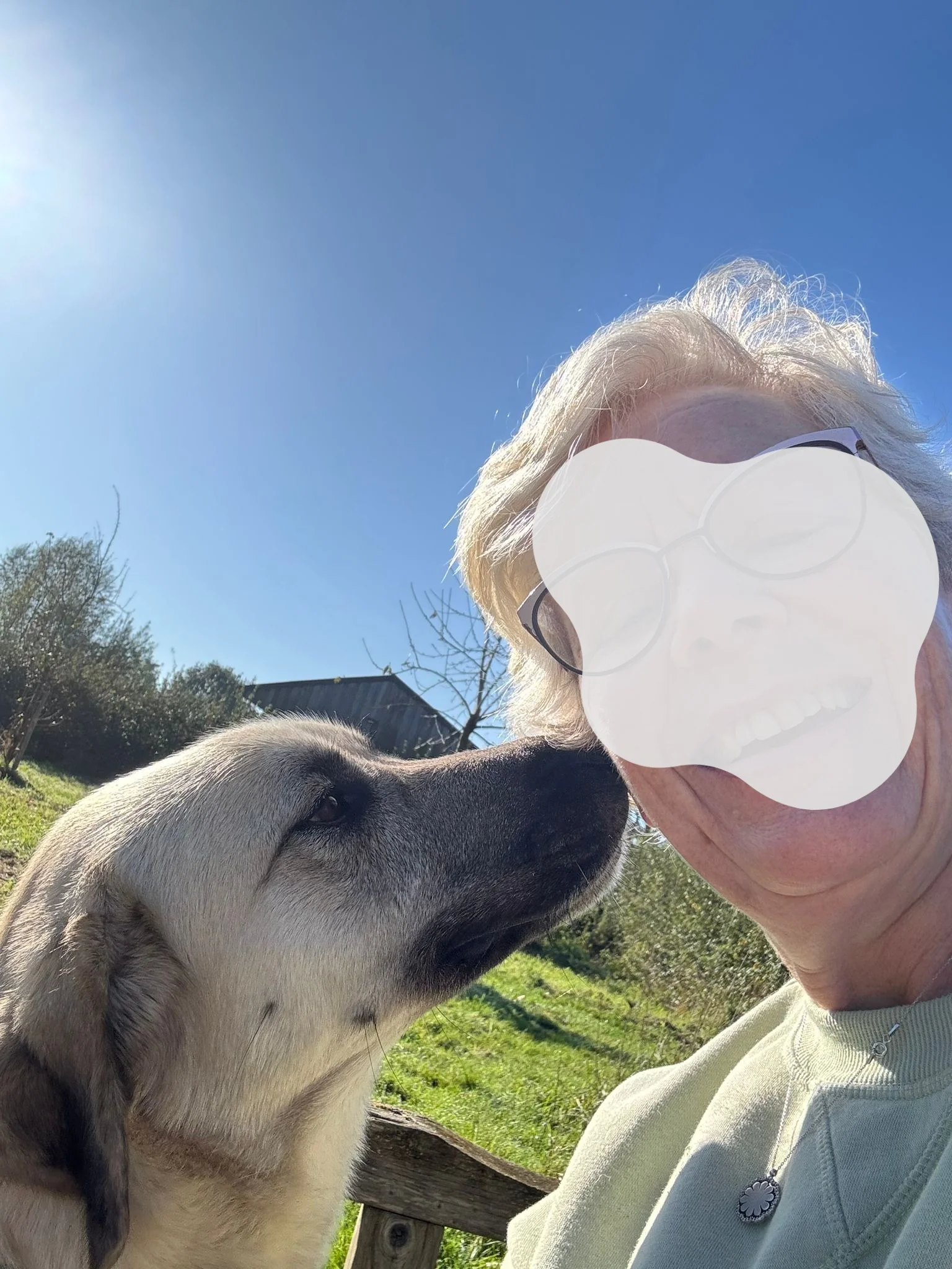 Ona (in België) - Afbeelding 4