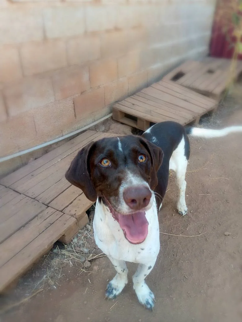 Romelu - Afbeelding 3