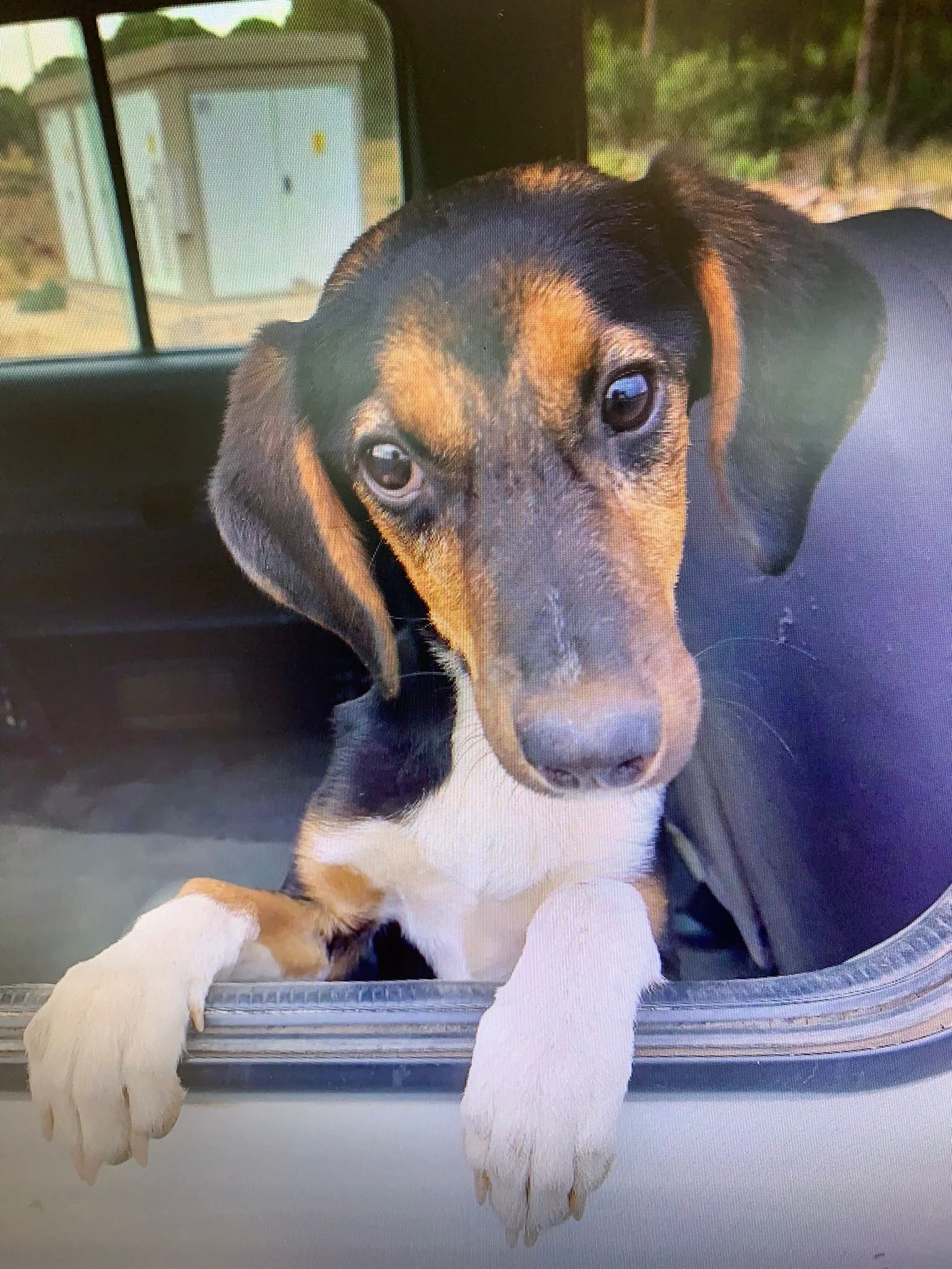 Malenka - Afbeelding 4