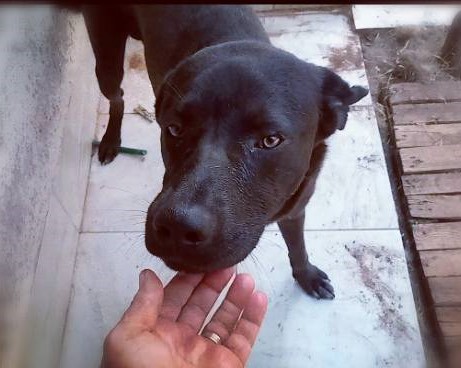 George - Afbeelding 4