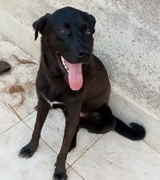 George - Afbeelding 6