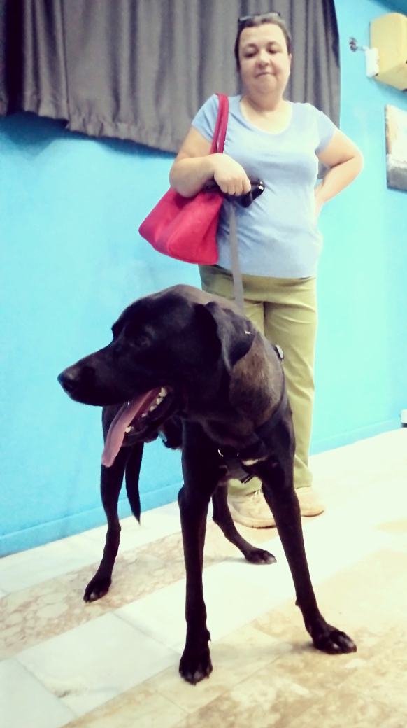 George - Afbeelding 3