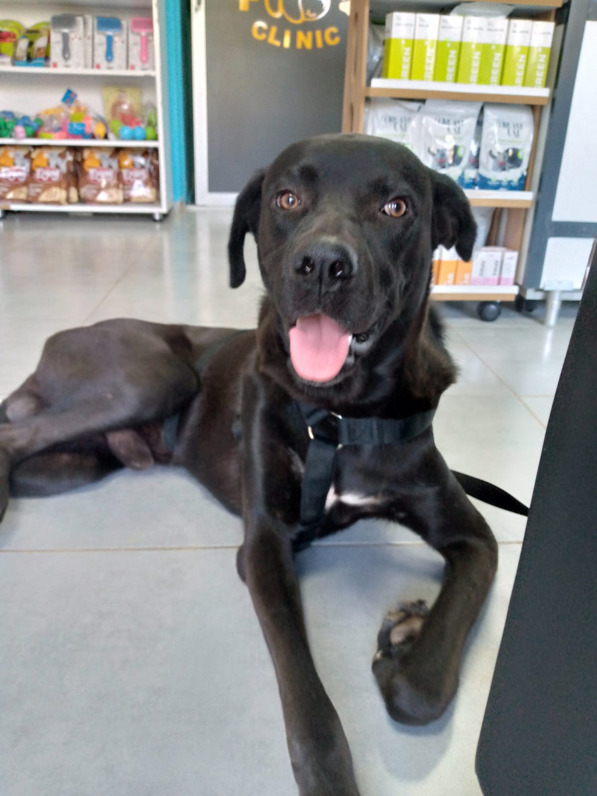 George - Afbeelding 9